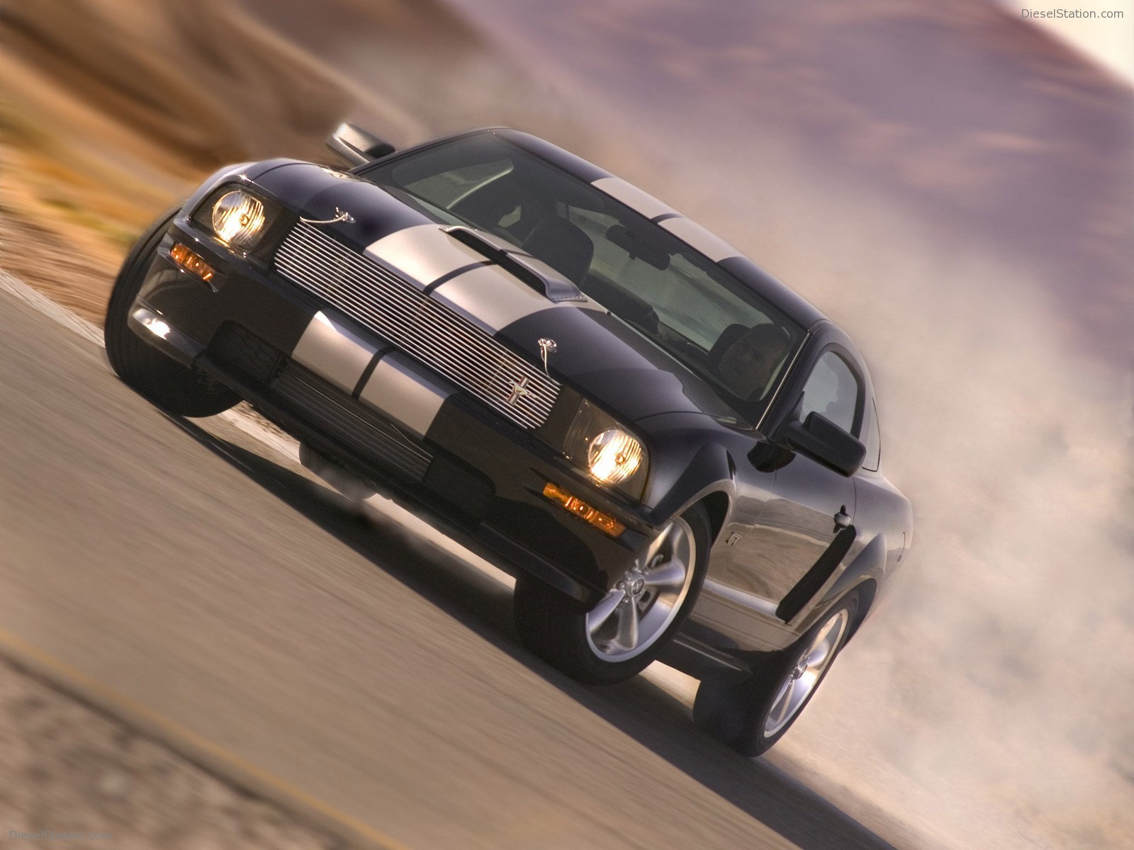Ford Shelby GT